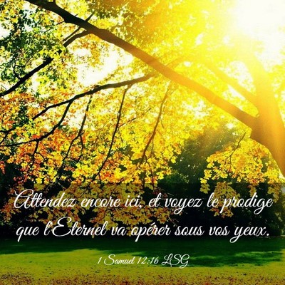 Picture 03 - 1 Samuel 12:16 LSG - Attendez encore ici, et voyez le prodige que - Bible Verse Picture