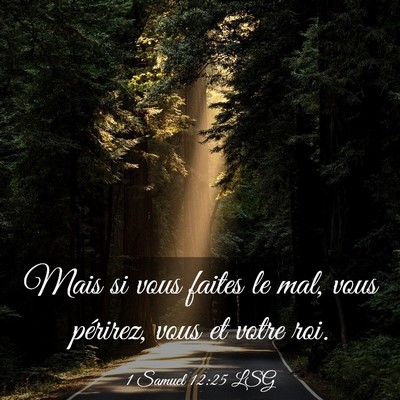 Picture 03 - 1 Samuel 12:25 LSG - Mais si vous faites le mal, vous périrez, vous - Bible Verse Picture