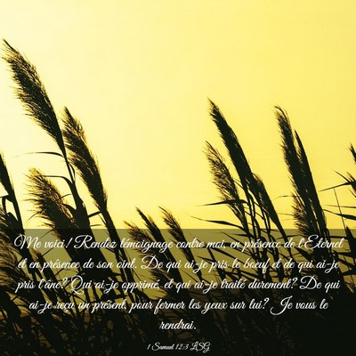 Picture 03 - 1 Samuel 12:3 LSG - Me voici! Rendez témoignage contre moi, en - Bible Verse Picture