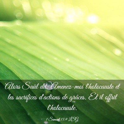 Picture 03 - 1 Samuel 13:9 LSG - Alors Saül dit: Amenez-moi l'holocauste et les - Bible Verse Picture