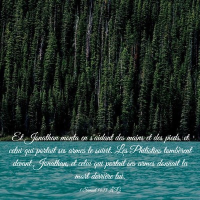 Picture 03 - 1 Samuel 14:13 LSG - Et Jonathan monta en s'aidant des mains et des - Bible Verse Picture
