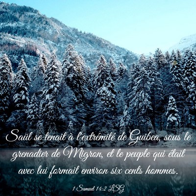 Picture 03 - 1 Samuel 14:2 LSG - Saül se tenait à l'extrémité de Guibea, sous - Bible Verse Picture