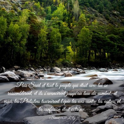 Picture 03 - 1 Samuel 14:20 LSG - Puis Saül et tout le peuple qui était avec lui - Bible Verse Picture