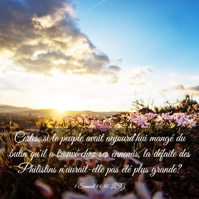 Picture 03 - 1 Samuel 14:30 LSG - Certes, si le peuple avait aujourd'hui mangé du - Bible Verse Picture