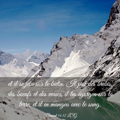 Picture 03 - 1 Samuel 14:32 LSG - et il se jeta sur le butin. Il prit des brebis, - Bible Verse Picture