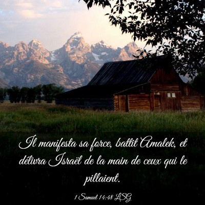 Picture 03 - 1 Samuel 14:48 LSG - Il manifesta sa force, battit Amalek, et délivra - Bible Verse Picture