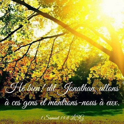 Picture 03 - 1 Samuel 14:8 LSG - Hé bien! dit Jonathan, allons à ces gens et - Bible Verse Picture