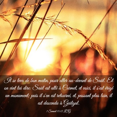 Picture 03 - 1 Samuel 15:12 LSG - Il se leva de bon matin, pour aller au-devant de - Bible Verse Picture