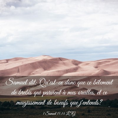 Picture 03 - 1 Samuel 15:14 LSG - Samuel dit: Qu'est-ce donc que ce bêlement de - Bible Verse Picture