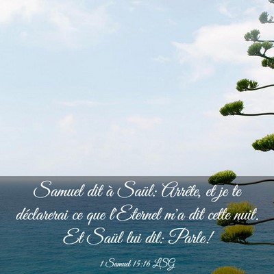 Picture 03 - 1 Samuel 15:16 LSG - Samuel dit à Saül: Arrête, et je te - Bible Verse Picture