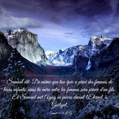 Picture 03 - 1 Samuel 15:33 LSG - Samuel dit: De même que ton épée a privé des - Bible Verse Picture