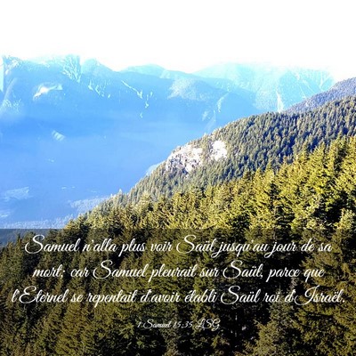 Picture 03 - 1 Samuel 15:35 LSG - Samuel n'alla plus voir Saül jusqu'au jour de sa - Bible Verse Picture