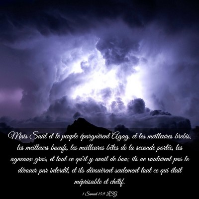 Picture 03 - 1 Samuel 15:9 LSG - Mais Saül et le peuple épargnèrent Agag, et - Bible Verse Picture