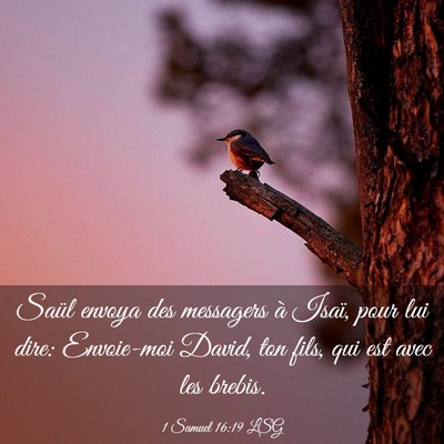Picture 03 - 1 Samuel 16:19 LSG - Saül envoya des messagers à Isaï, pour lui - Bible Verse Picture