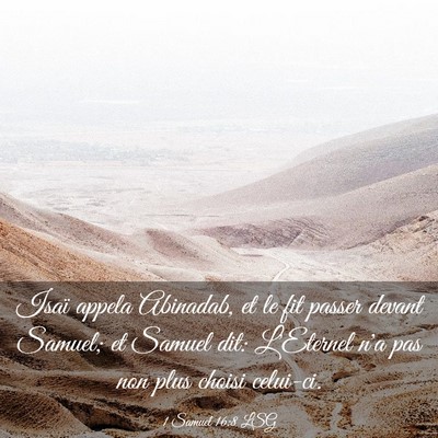 Picture 03 - 1 Samuel 16:8 LSG - Isaï appela Abinadab, et le fit passer devant - Bible Verse Picture