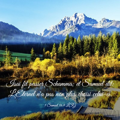 Picture 03 - 1 Samuel 16:9 LSG - Isaï fit passer Schamma; et Samuel dit: - Bible Verse Picture