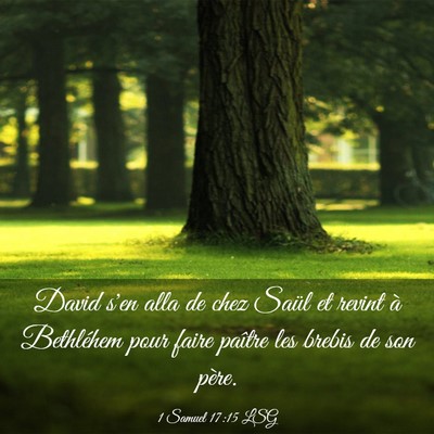 Picture 03 - 1 Samuel 17:15 LSG - David s'en alla de chez Saül et revint à - Bible Verse Picture