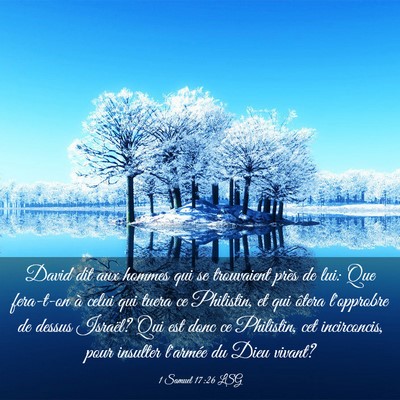 Picture 03 - 1 Samuel 17:26 LSG - David dit aux hommes qui se trouvaient près de - Bible Verse Picture