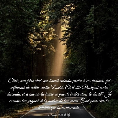 Picture 03 - 1 Samuel 17:28 LSG - Eliab, son frère aîné, qui l'avait entendu - Bible Verse Picture