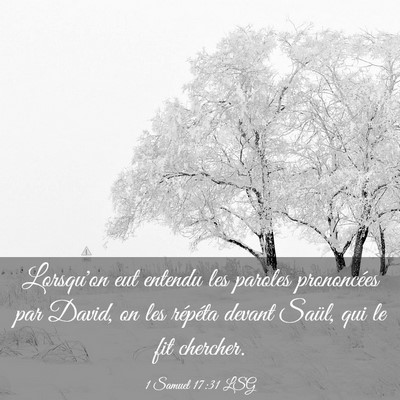 Picture 03 - 1 Samuel 17:31 LSG - Lorsqu'on eut entendu les paroles prononcées par - Bible Verse Picture