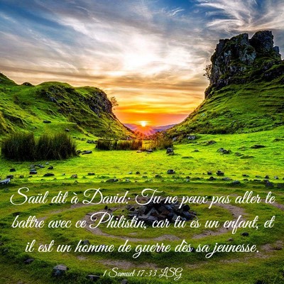 Picture 03 - 1 Samuel 17:33 LSG - Saül dit à David: Tu ne peux pas aller te - Bible Verse Picture