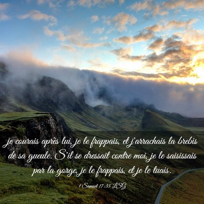 Picture 03 - 1 Samuel 17:35 LSG - je courais après lui, je le frappais, et - Bible Verse Picture