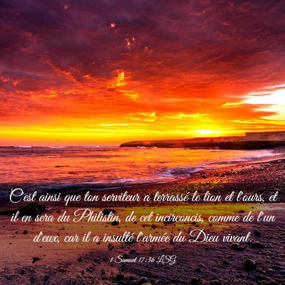 Picture 03 - 1 Samuel 17:36 LSG - C'est ainsi que ton serviteur a terrassé le lion - Bible Verse Picture