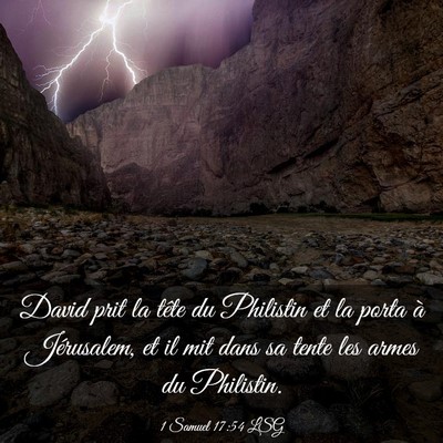 Picture 03 - 1 Samuel 17:54 LSG - David prit la tête du Philistin et la porta à - Bible Verse Picture