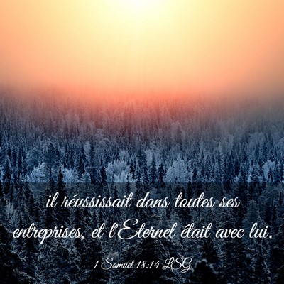 Picture 03 - 1 Samuel 18:14 LSG - il réussissait dans toutes ses entreprises, et - Bible Verse Picture