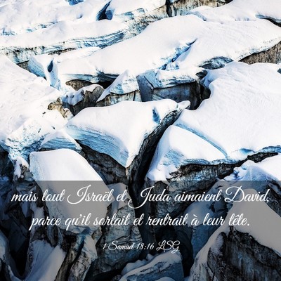 Picture 03 - 1 Samuel 18:16 LSG - mais tout Israël et Juda aimaient David, parce - Bible Verse Picture