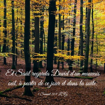 Picture 03 - 1 Samuel 18:9 LSG - Et Saül regarda David d'un mauvais oeil, à - Bible Verse Picture