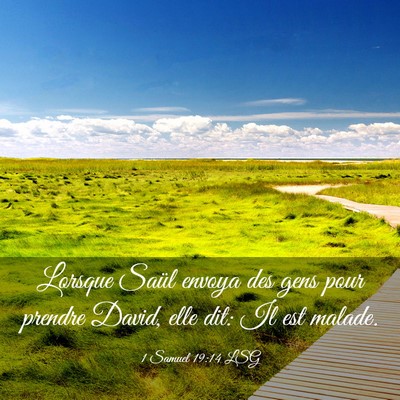 Picture 03 - 1 Samuel 19:14 LSG - Lorsque Saül envoya des gens pour prendre David, - Bible Verse Picture