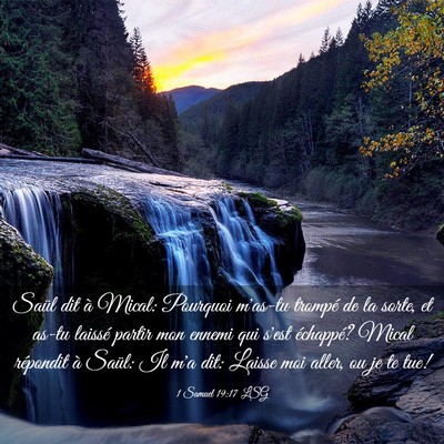 Picture 03 - 1 Samuel 19:17 LSG - Saül dit à Mical: Pourquoi m'as-tu trompé de - Bible Verse Picture