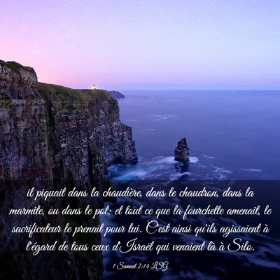 Picture 03 - 1 Samuel 2:14 LSG - il piquait dans la chaudière, dans le chaudron, - Bible Verse Picture