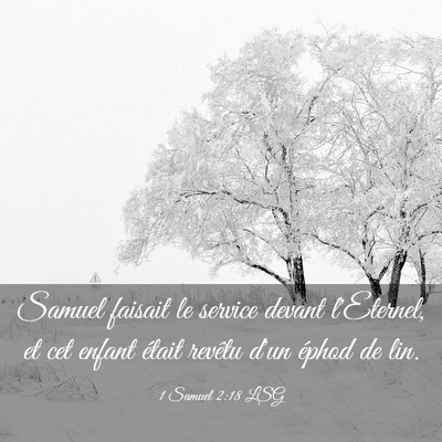 Picture 03 - 1 Samuel 2:18 LSG - Samuel faisait le service devant l'Eternel, et - Bible Verse Picture