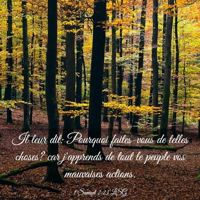 Picture 03 - 1 Samuel 2:23 LSG - Il leur dit: Pourquoi faites-vous de telles - Bible Verse Picture