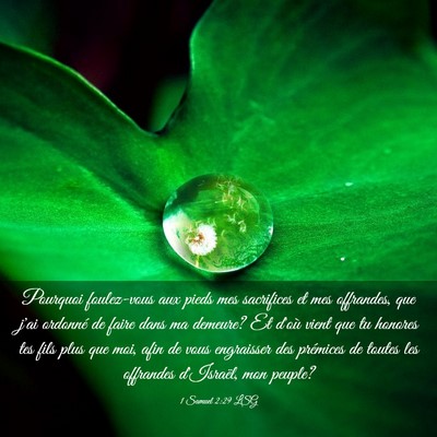 Picture 03 - 1 Samuel 2:29 LSG - Pourquoi foulez-vous aux pieds mes sacrifices et - Bible Verse Picture