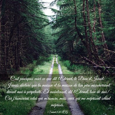 Picture 03 - 1 Samuel 2:30 LSG - C'est pourquoi voici ce que dit l'Eternel, le - Bible Verse Picture