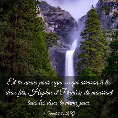 Picture 03 - 1 Samuel 2:34 LSG - Et tu auras pour signe ce qui arrivera à tes - Bible Verse Picture