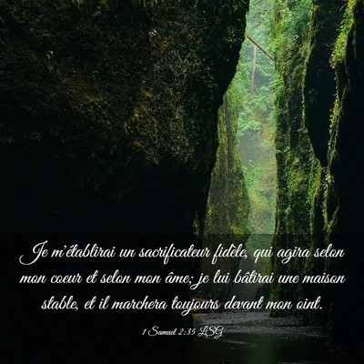 Picture 03 - 1 Samuel 2:35 LSG - Je m'établirai un sacrificateur fidèle, qui - Bible Verse Picture