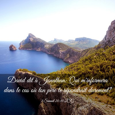 Picture 03 - 1 Samuel 20:10 LSG - David dit à Jonathan: Qui m'informera dans le - Bible Verse Picture