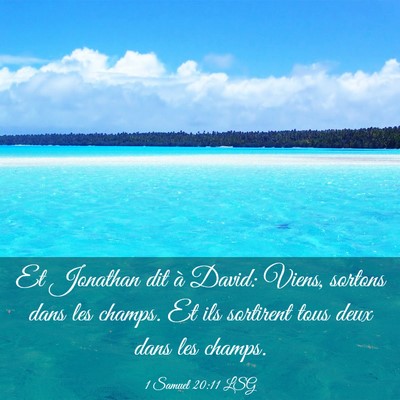 Picture 03 - 1 Samuel 20:11 LSG - Et Jonathan dit à David: Viens, sortons dans les - Bible Verse Picture