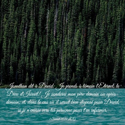Picture 03 - 1 Samuel 20:12 LSG - Jonathan dit à David: Je prends à témoin - Bible Verse Picture
