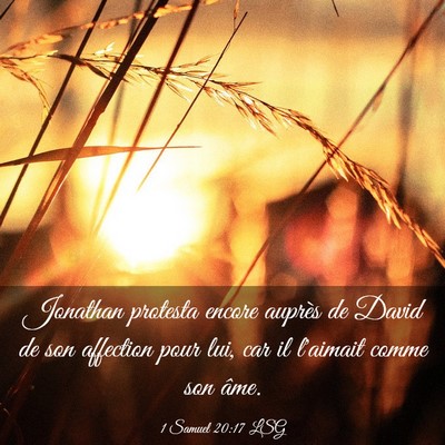 Picture 03 - 1 Samuel 20:17 LSG - Jonathan protesta encore auprès de David de son - Bible Verse Picture