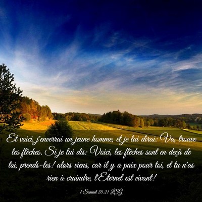 Picture 03 - 1 Samuel 20:21 LSG - Et voici, j'enverrai un jeune homme, et je lui - Bible Verse Picture