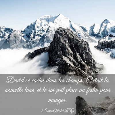 Picture 03 - 1 Samuel 20:24 LSG - David se cacha dans les champs. C'était la - Bible Verse Picture
