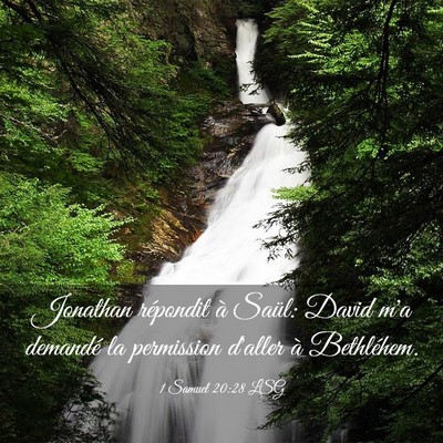 Picture 03 - 1 Samuel 20:28 LSG - Jonathan répondit à Saül: David m'a demandé - Bible Verse Picture