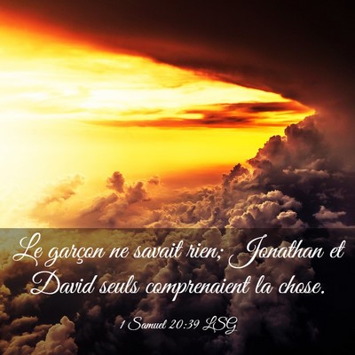 Picture 03 - 1 Samuel 20:39 LSG - Le garçon ne savait rien; Jonathan et David - Bible Verse Picture