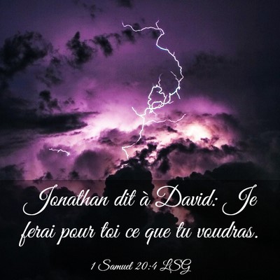 Picture 03 - 1 Samuel 20:4 LSG - Jonathan dit à David: Je ferai pour toi ce que - Bible Verse Picture
