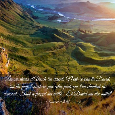 Picture 03 - 1 Samuel 21:11 LSG - Les serviteurs d'Akisch lui dirent: N'est-ce pas - Bible Verse Picture